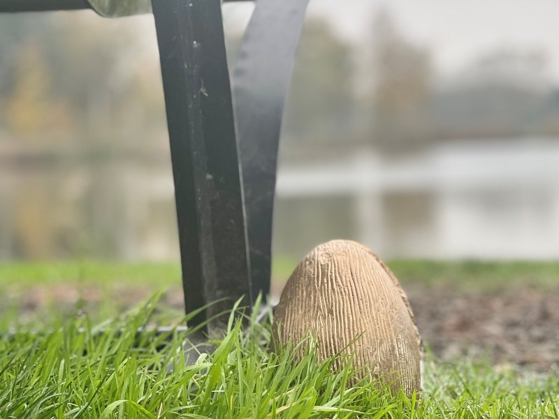 Gouden ei.jpg