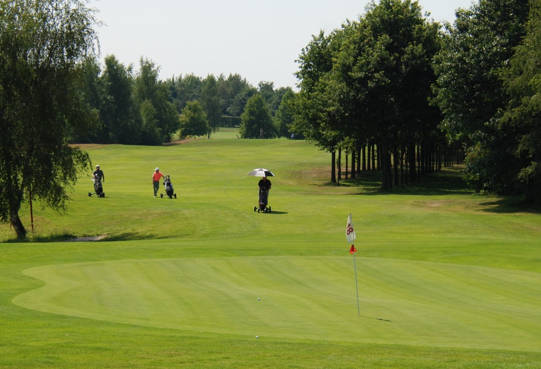 Peelse Golf 5.jpg