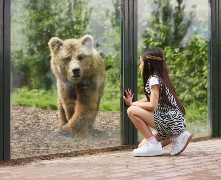 filters_fill(transparent)_focal(1336x555_1337x556)_quality(75).webp