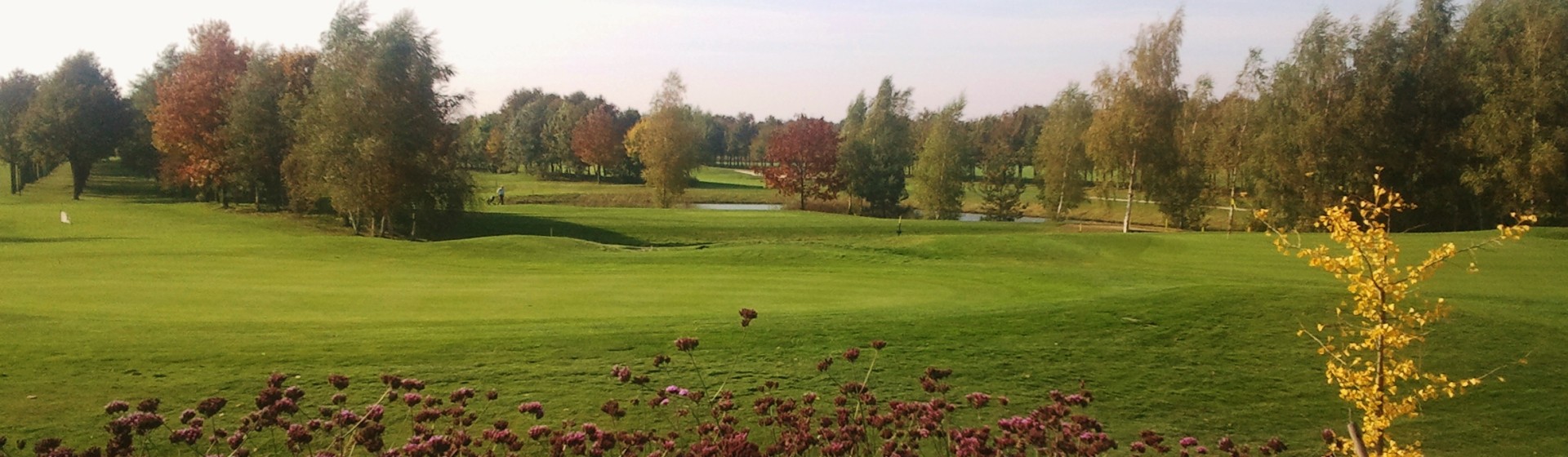 Peelse Golf 1.jpg