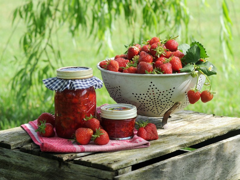 Aardbeienland